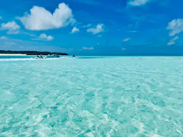 tome cruiseに投稿された画像（2026/7/21）