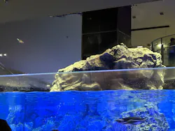 すみだ水族館に投稿された画像（2026/7/21）