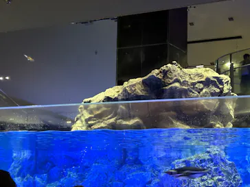 すみだ水族館に投稿された画像（2026/7/21）