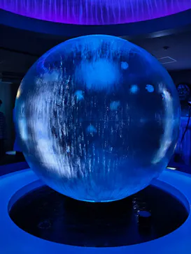 新江ノ島水族館に投稿された画像（2026/7/21）