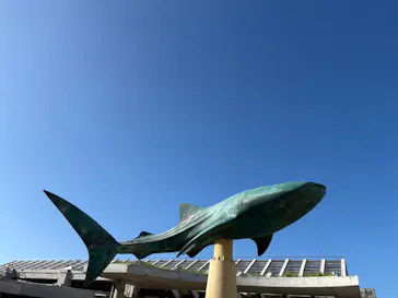 沖縄美ら海水族館に投稿された画像（2026/7/21）