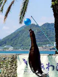 あわしまマリンパークに投稿された画像（2026/7/21）