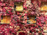 NARA KINGYO MUSEUMに投稿された画像（2026/7/21）