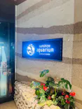 サンシャイン水族館に投稿された画像（2026/7/21）