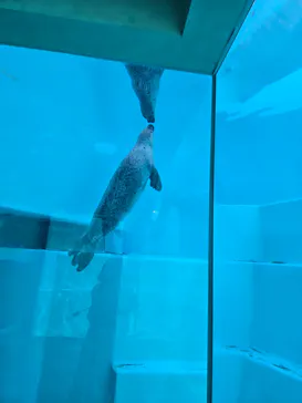 マリンワールド海の中道に投稿された画像（2026/7/21）