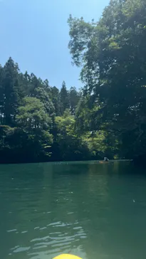 フィールドアースに投稿された画像（2026/7/21）