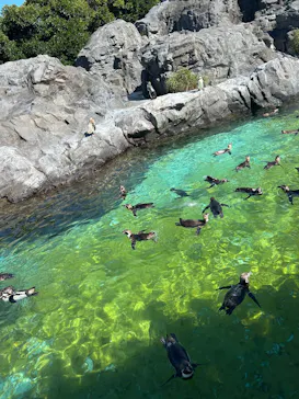 葛西臨海水族園に投稿された画像（2026/7/21）