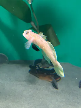 葛西臨海水族園に投稿された画像（2026/7/21）