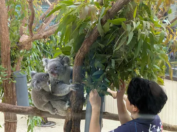 こども動物自然公園（埼玉県公園緑地協会）に投稿された画像（2026/7/21）