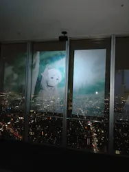 ハルカス300(展望台)に投稿された画像（2026/7/21）