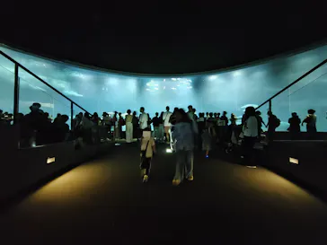 葛西臨海水族園に投稿された画像（2026/7/21）
