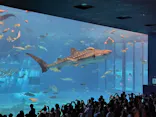 沖縄美ら海水族館に投稿された画像（2026/7/22）