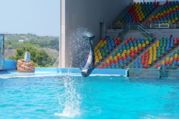 アドベンチャーワールドに投稿された画像（2026/7/21）