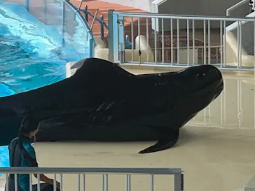 マリンワールド海の中道に投稿された画像（2026/7/21）