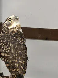 掛川花鳥園に投稿された画像（2026/7/21）