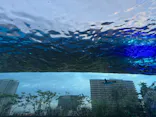 サンシャイン水族館に投稿された画像（2026/7/22）