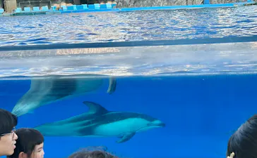 名古屋港水族館に投稿された画像（2026/7/22）