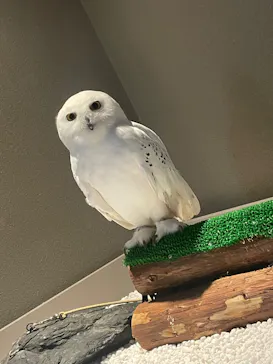 カワスイ 川崎⽔族館に投稿された画像（2026/7/22）