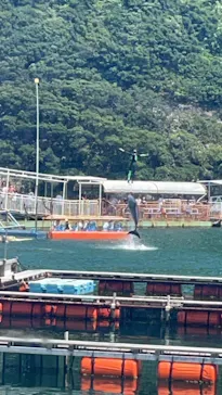 下田海中水族館に投稿された画像（2026/7/22）
