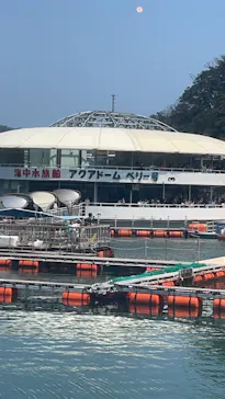 下田海中水族館に投稿された画像（2026/7/22）
