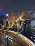 福井県立恐竜博物館に投稿された画像（2026/7/22）