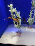 サンシャイン水族館に投稿された画像（2026/7/22）