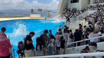 マリンワールド海の中道に投稿された画像（2026/7/22）