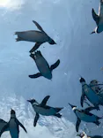 サンシャイン水族館に投稿された画像（2026/7/22）