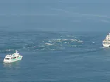 徳島県立 渦の道に投稿された画像（2026/7/22）