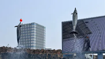 名古屋港水族館に投稿された画像（2026/7/22）