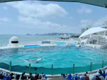 鴨川シーワールドに投稿された画像（2026/7/22）