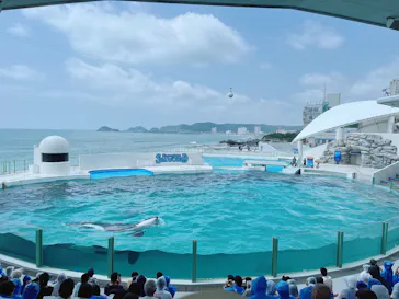 鴨川シーワールドに投稿された画像（2026/7/22）
