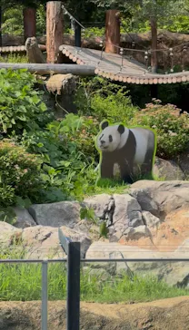 上野動物園 ハシビロカートに投稿された画像（2026/7/22）