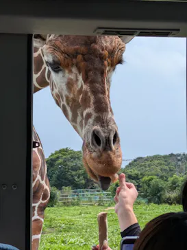 岩手サファリパークに投稿された画像（2026/7/22）