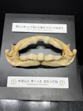 特別展「スケスケ展２」に投稿された画像（2026/7/22）