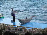 名古屋港水族館に投稿された画像（2026/7/22）