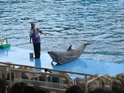名古屋港水族館に投稿された画像（2026/7/22）