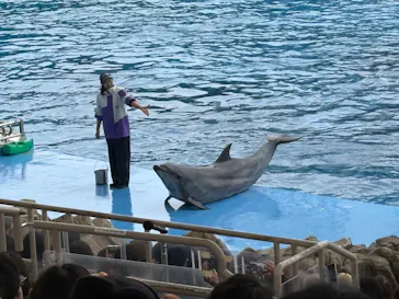 名古屋港水族館に投稿された画像（2026/7/22）
