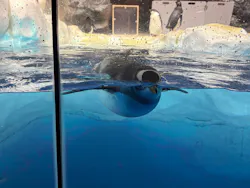 名古屋港水族館に投稿された画像（2026/7/22）