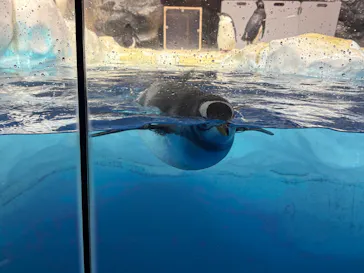 名古屋港水族館に投稿された画像（2026/7/22）