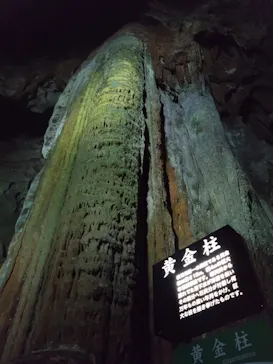 秋芳洞に投稿された画像（2026/7/22）