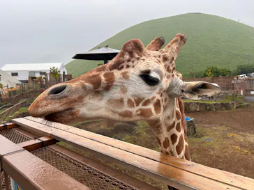 伊豆シャボテン動物公園に投稿された画像（2026/7/22）