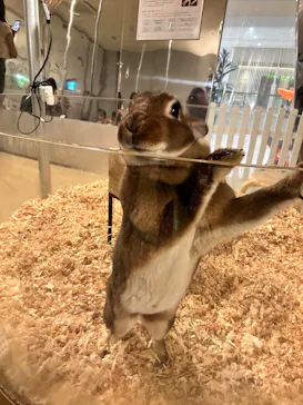 Moff animal cafe イオンモール幕張新都心店に投稿された画像（2026/7/22）