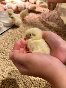 Moff animal cafe イオンモール幕張新都心店に投稿された画像（2026/7/22）