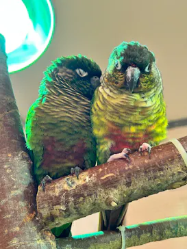 Moff animal cafe イオンモール幕張新都心店に投稿された画像（2026/7/22）