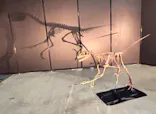 ヨコハマ恐竜展２０２６～恐竜の食卓大図鑑～に投稿された画像（2026/7/22）