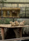 恩賜上野動物園に投稿された画像（2026/7/23）