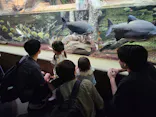 サンシャイン水族館に投稿された画像（2026/7/23）