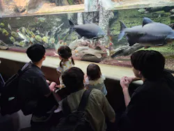 サンシャイン水族館に投稿された画像（2026/7/22）