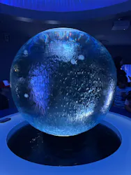 新江ノ島水族館に投稿された画像（2026/7/22）